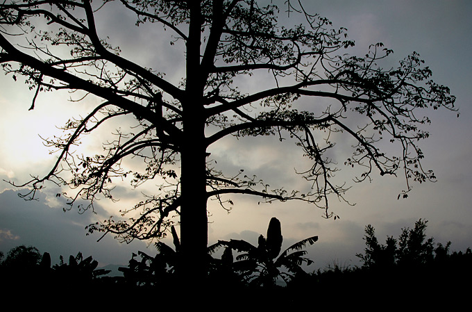 DSC_6627.jpg, 140 KB