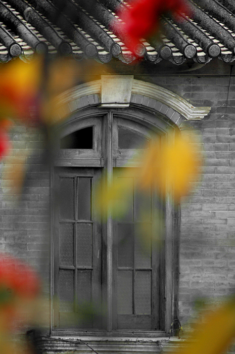 DSC_7020.jpg, 185 KB