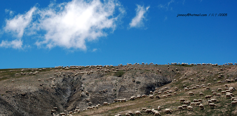 2193-25.jpg, 163 KB