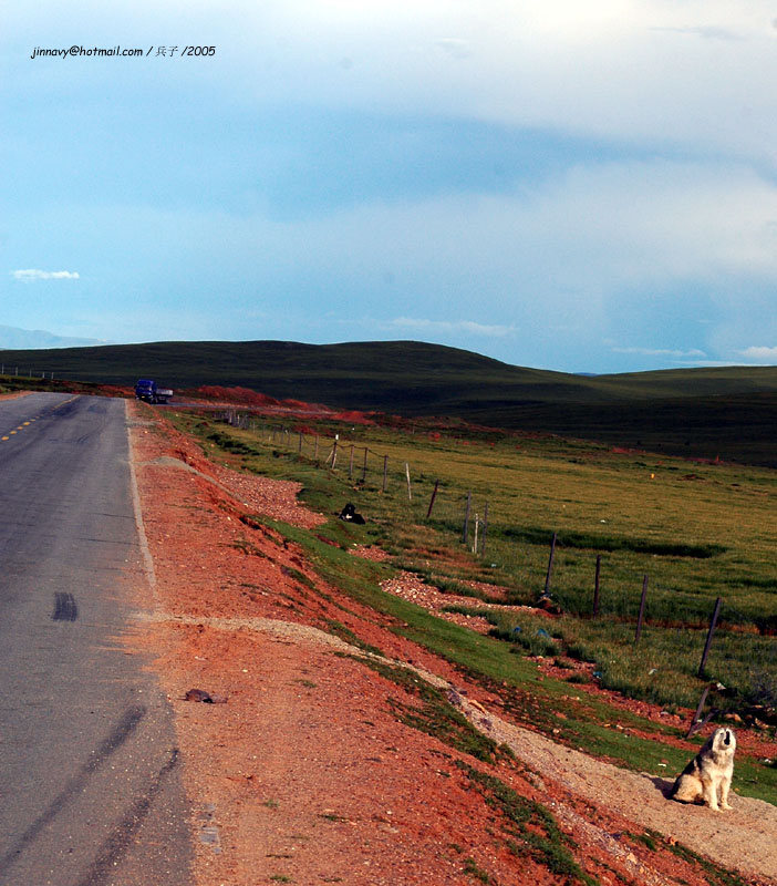 2913-107.jpg, 162 KB