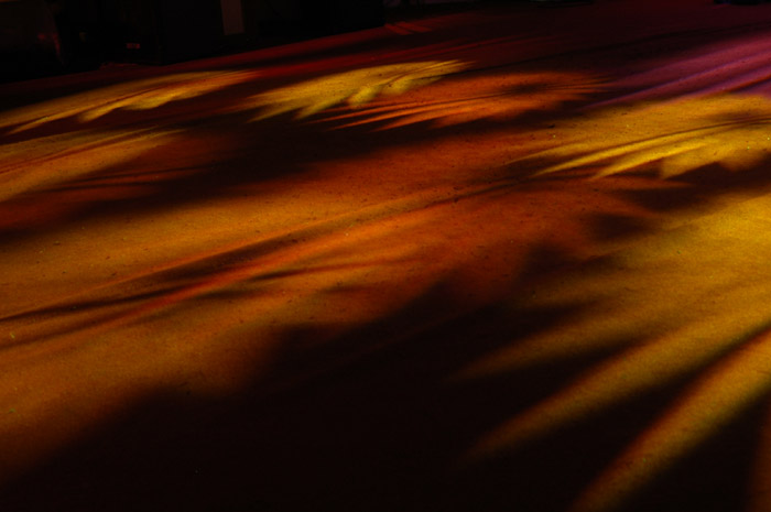 DSC_5788.jpg, 73 KB