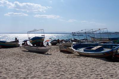 1839-Hamamat050806 033.jpg, 24 KB
