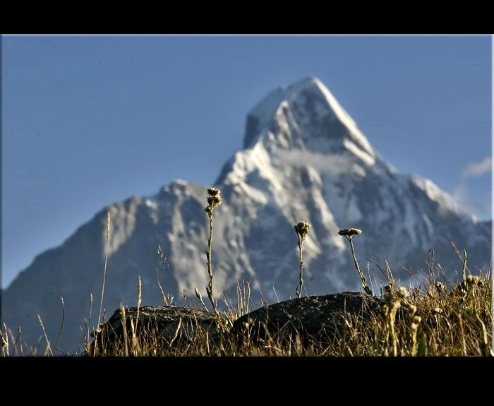 CRW_7095_RJ.jpg, 95 KB