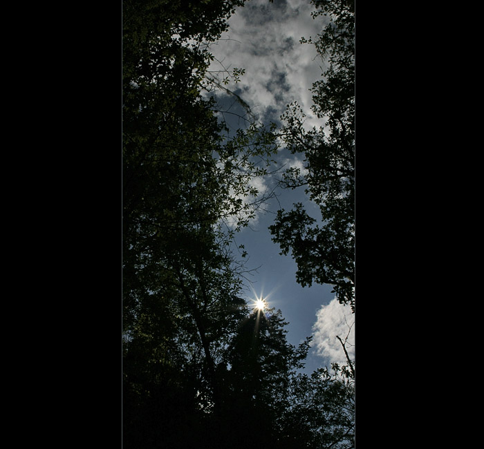 CRW_7538_RJ.jpg, 121 KB