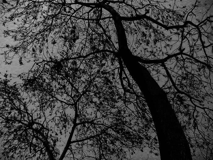 DSC_00138.jpg, 150 KB