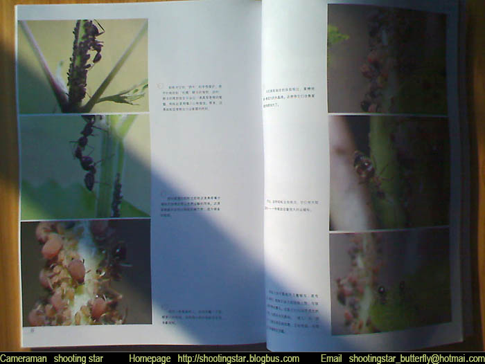 DSC_00173.jpg, 63 KB