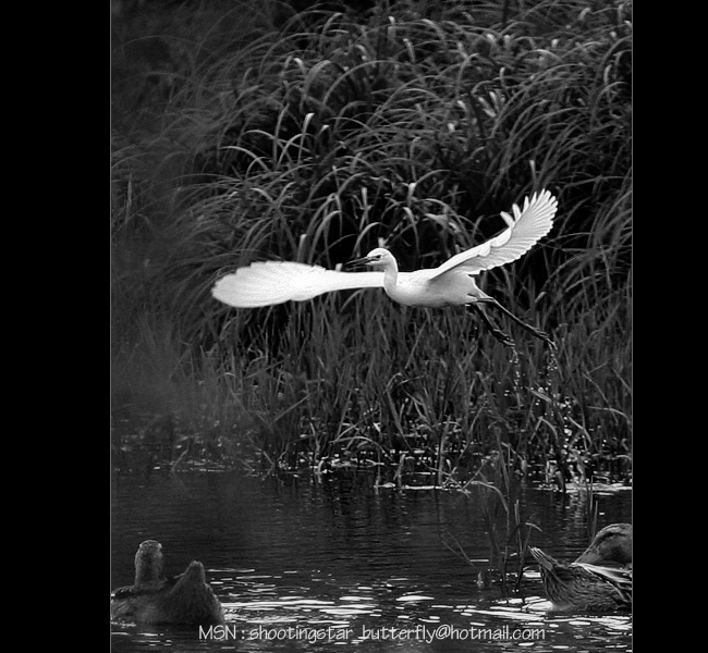 IMG_4698.jpg, 128 KB