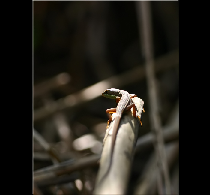 IMG_5833.jpg, 90 KB