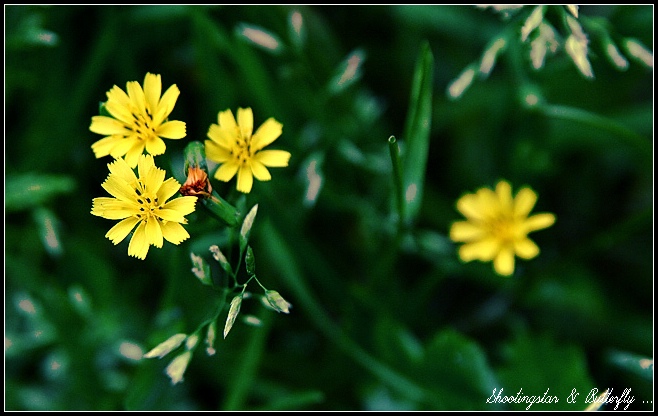 IMG_7549.jpg, 124 KB