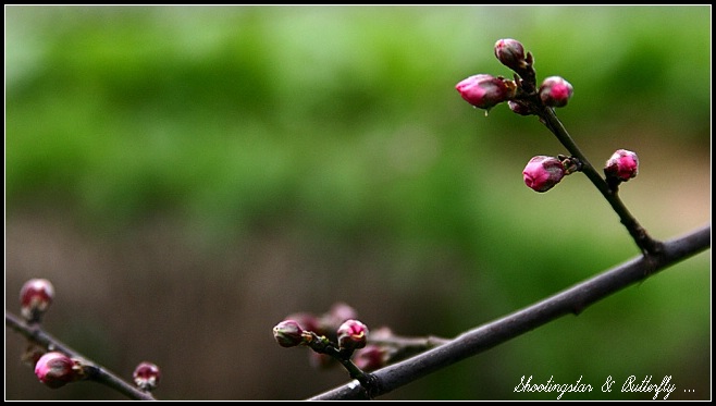 IMG_7628.jpg, 74 KB