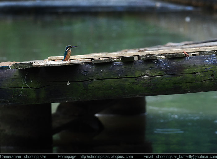 IMG_7724.jpg, 72 KB