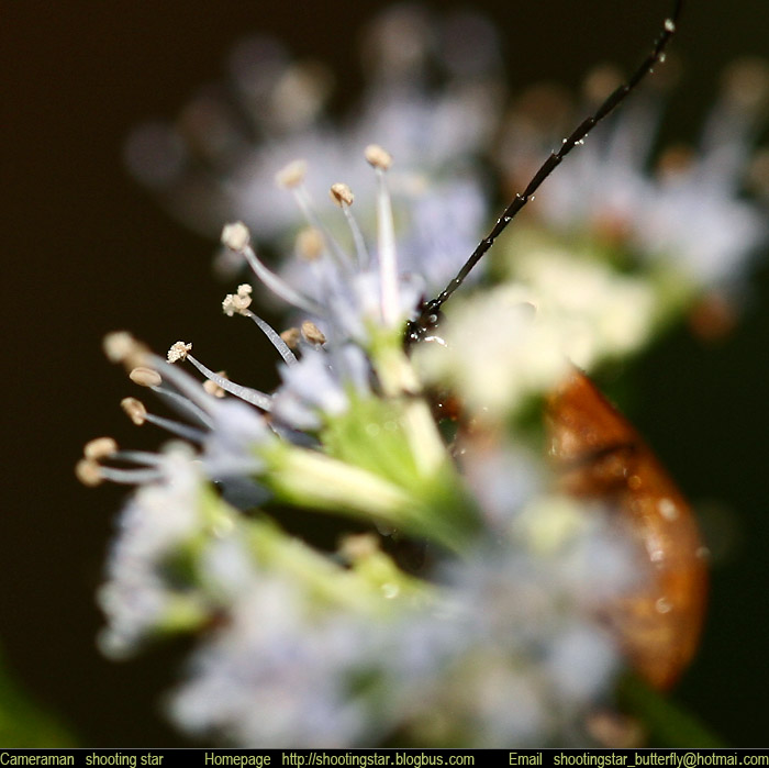 _MG_3057.jpg, 107 KB