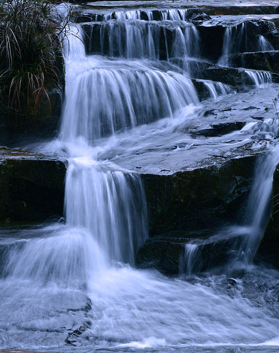 _MG_3103.jpg, 108 KB