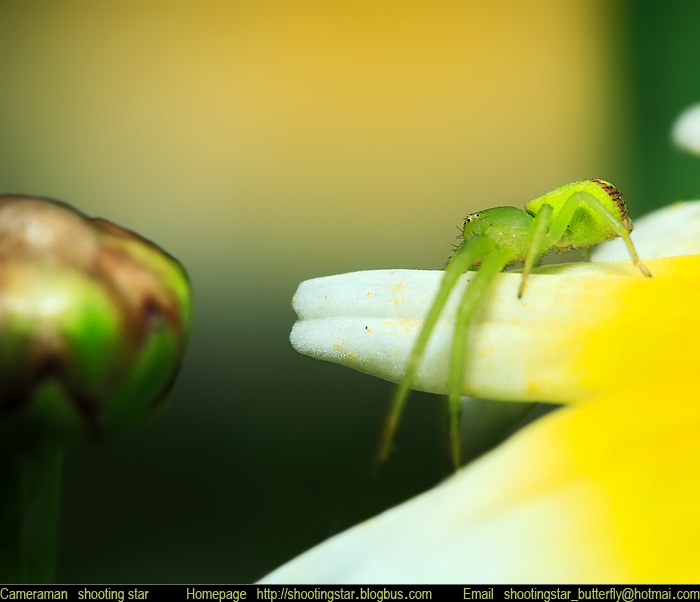 _MG_3428.jpg, 92 KB