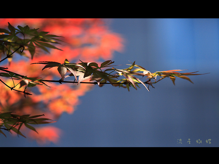 _MG_3458.jpg, 122 KB