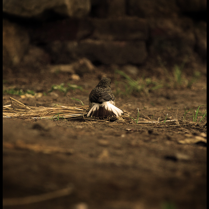 _MG_4686.jpg, 166 KB