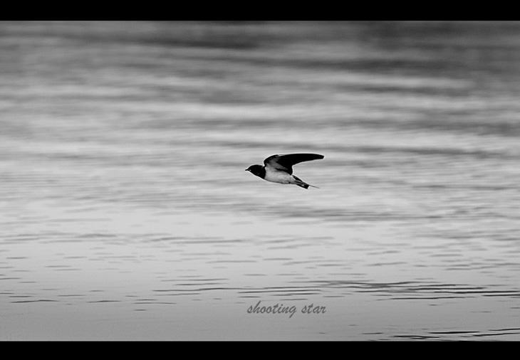 _MG_5568.jpg, 85 KB