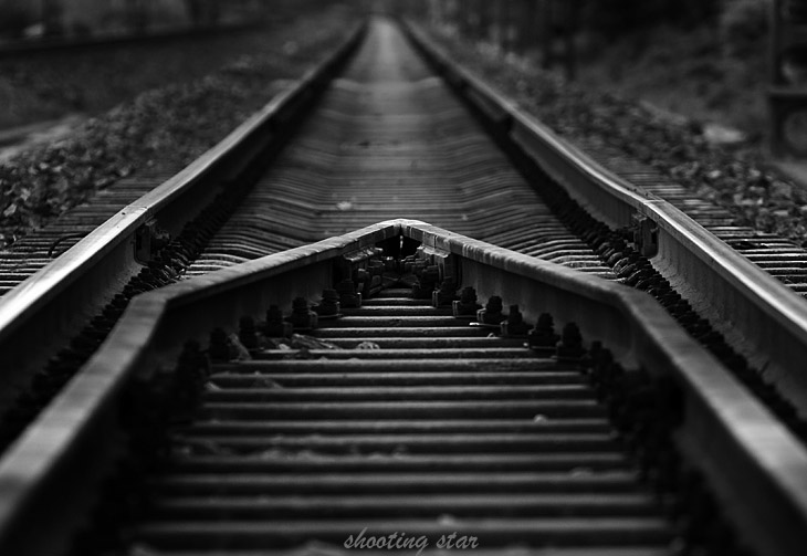 _MG_5884.jpg, 85 KB