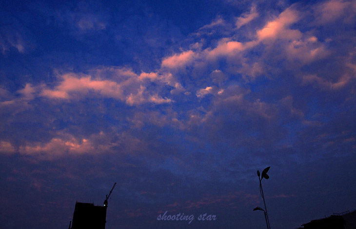_MG_5910.jpg, 87 KB