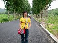 7��2�գ�ȥ�ӱ������Ĺ�·�ϡ�