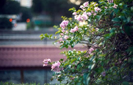 ͼ鿴ԭʼС

:  flower.jpg
鿴: 209
С:  94.7 KB