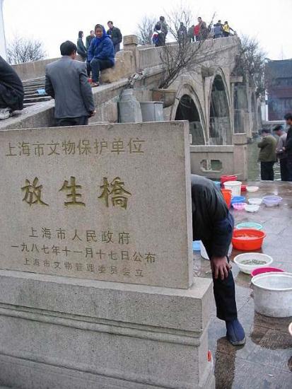 ���ͼ��鿴ԭʼ��С

����:  image-47.jpg
�鿴����: 331
��С:  66.1 KB