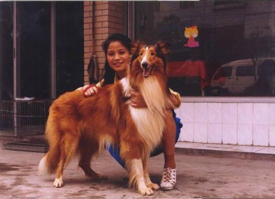 ͼ鿴ԭʼС

:  resize of dog.jpg
鿴: 450
С:  41.9 KB