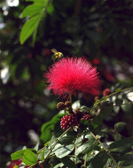 ͼ鿴ԭʼС

:  flower.jpg
鿴: 615
С:  106.7 KB