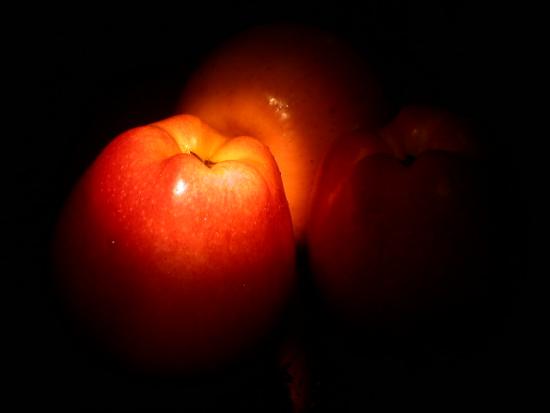 ͼ鿴ԭʼС

:  dscn6501.jpg
鿴: 254
С:  77.1 KB