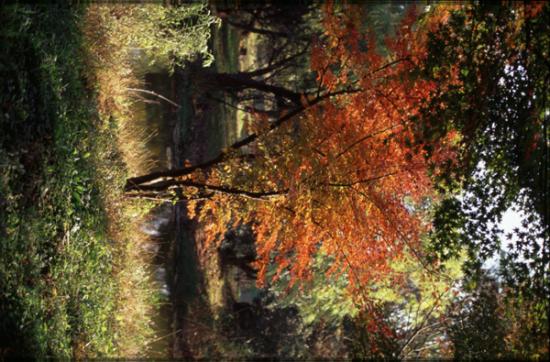 ���ͼ��鿴ԭʼ��С

����:  image01.jpg
�鿴����: 288
��С:  176.5 KB