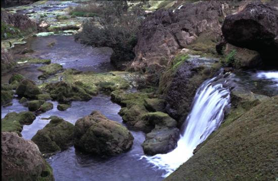 ͼ鿴ԭʼС

:  image102.jpg
鿴: 242
С:  124.8 KB