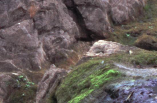 ͼ鿴ԭʼС

:  image102a.jpg
鿴: 230
С:  84.7 KB