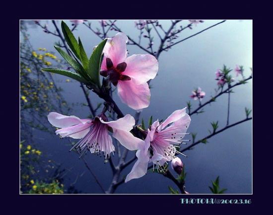 ͼ鿴ԭʼС

:  dsc00115n.jpg
鿴: 461
С:  100.4 KB