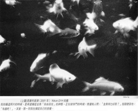 ͼ鿴ԭʼС

:  005.jpg
鿴: 546
С:  73.9 KB