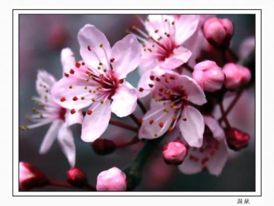 ���ͼ��鿴ԭʼ��С

����:  093.jpg
�鿴����: 283
��С:  50.5 KB