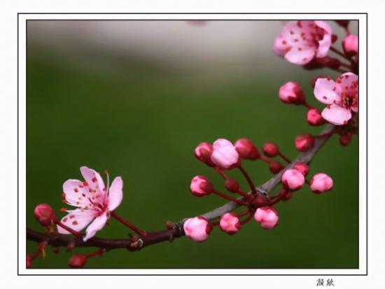 ���ͼ��鿴ԭʼ��С

����:  097.jpg
�鿴����: 296
��С:  41.6 KB