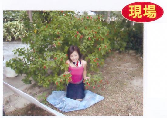 ͼ鿴ԭʼС

:  08c.jpg
鿴: 629
С:  75.5 KB