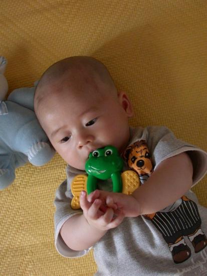 ͼ鿴ԭʼС

:  dscn0650.jpg
鿴: 391
С:  187.4 KB