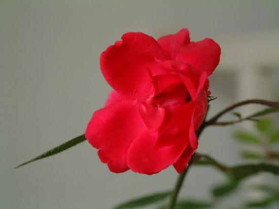 ͼ鿴ԭʼС

:   dscf0077.jpg
鿴: 301
С:  18.8 KB