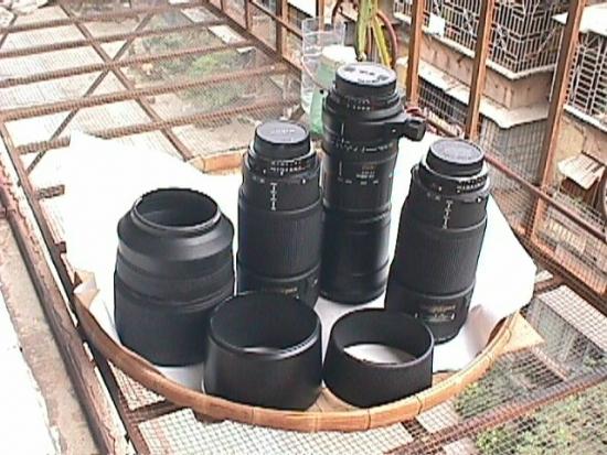 ͼ鿴ԭʼС

:  x170-1.jpg
鿴: 209
С:  160.3 KB