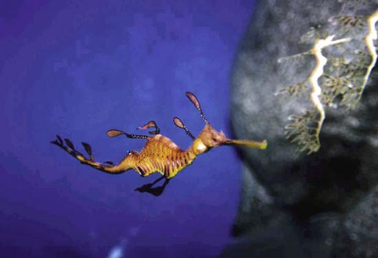 ͼ鿴ԭʼС

:  6.jpg
鿴: 225
С:  103.1 KB