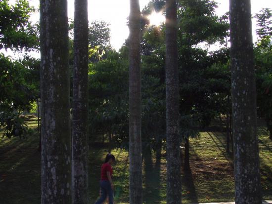 ���ͼ��鿴ԭʼ��С

����:  nature.jpg
�鿴����: 251
��С:  140.0 KB