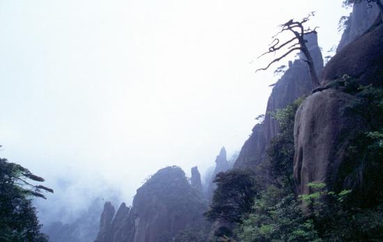 ͼ鿴ԭʼС

:  crop0040.jpg
鿴: 358
С:  122.8 KB