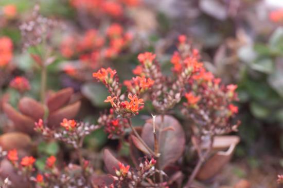 ͼ鿴ԭʼС

:  8512-18a.jpg
鿴: 312
С:  64.8 KB