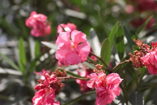 ͼ鿴ԭʼС

:  8512-21.jpg
鿴: 312
С:  73.5 KB