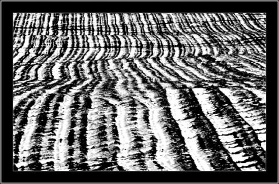 ���ͼ��鿴ԭʼ��С

����:  ����-110b.jpg
�鿴����: 216
��С:  160.0 KB