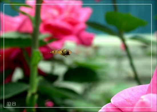 ���ͼ��鿴ԭʼ��С

����:  dscn1474_3121.jpg
�鿴����: 950
��С:  29.4 KB