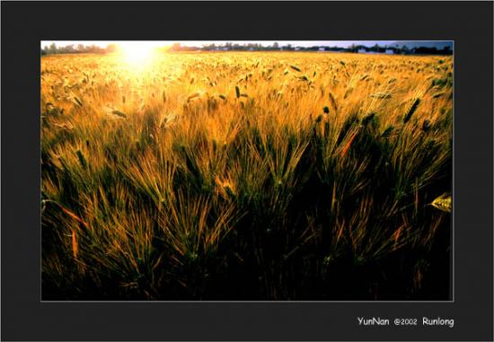 ���ͼ��鿴ԭʼ��С

����:  dali2.jpg
�鿴����: 307
��С:  66.3 KB
