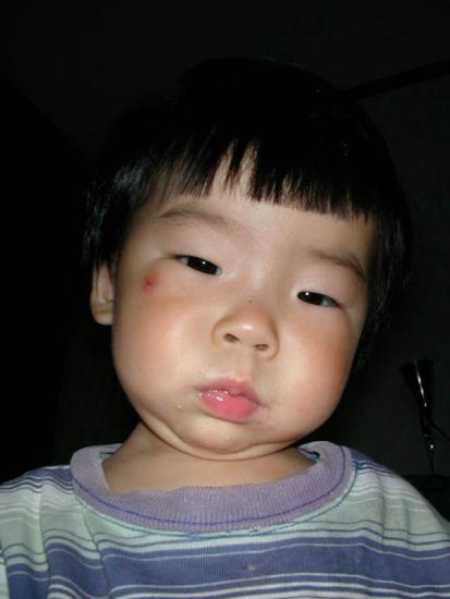 ���ͼ��鿴ԭʼ��С

����:  dscn0338.jpg
�鿴����: 399
��С:  52.9 KB
