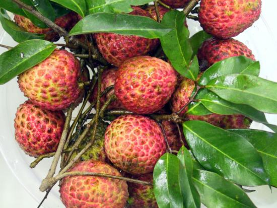 ���ͼ��鿴ԭʼ��С

����:  litchi01.jpg
�鿴����: 325
��С:  125.0 KB